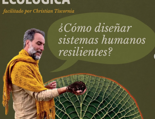 Webinario – Alfabetización Ecológica –